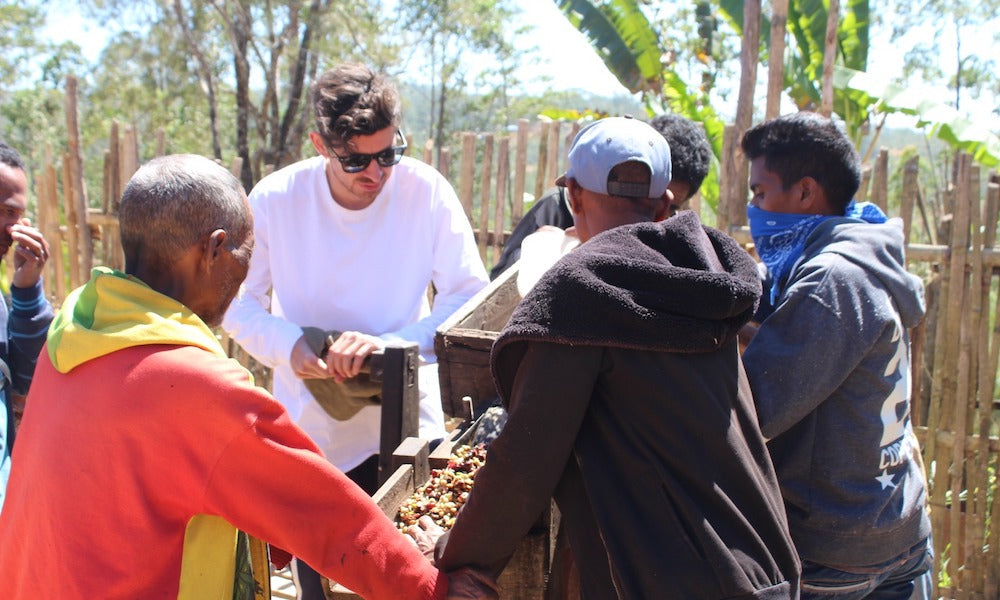 timor coffee farmers depulping ethical timor coffee
