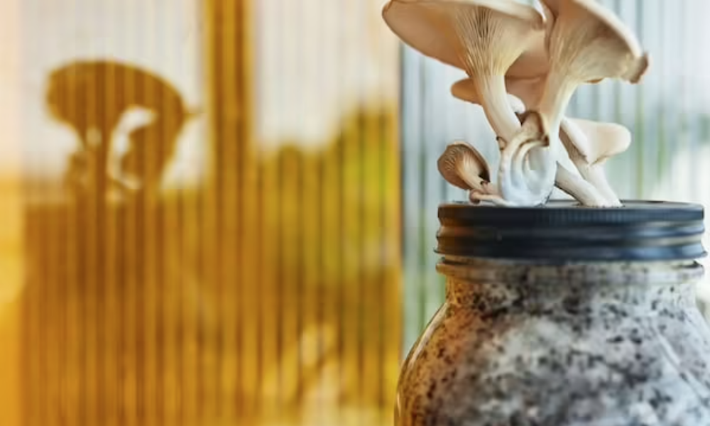 9 Creative Ways to Repurpose Coffee Grounds