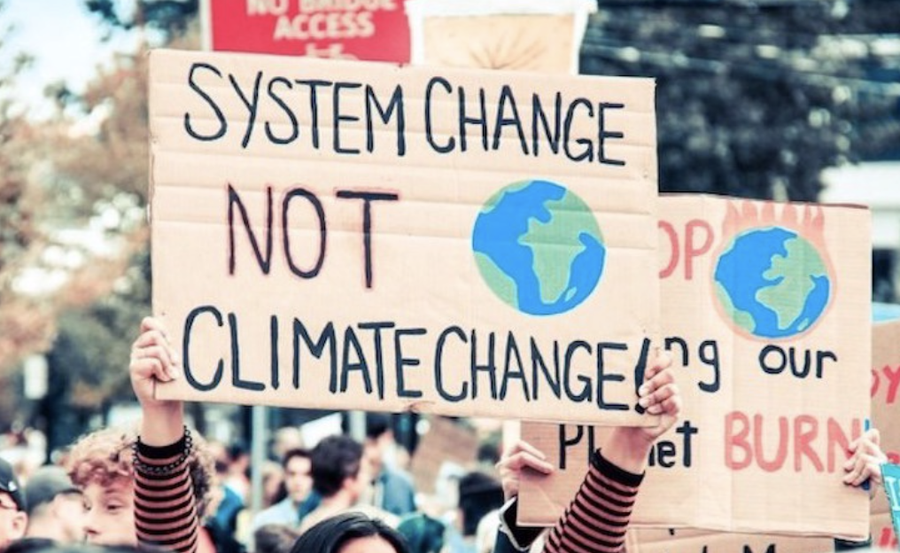 But What About The Planet? The Effects of the Pandemic on Climate and ...