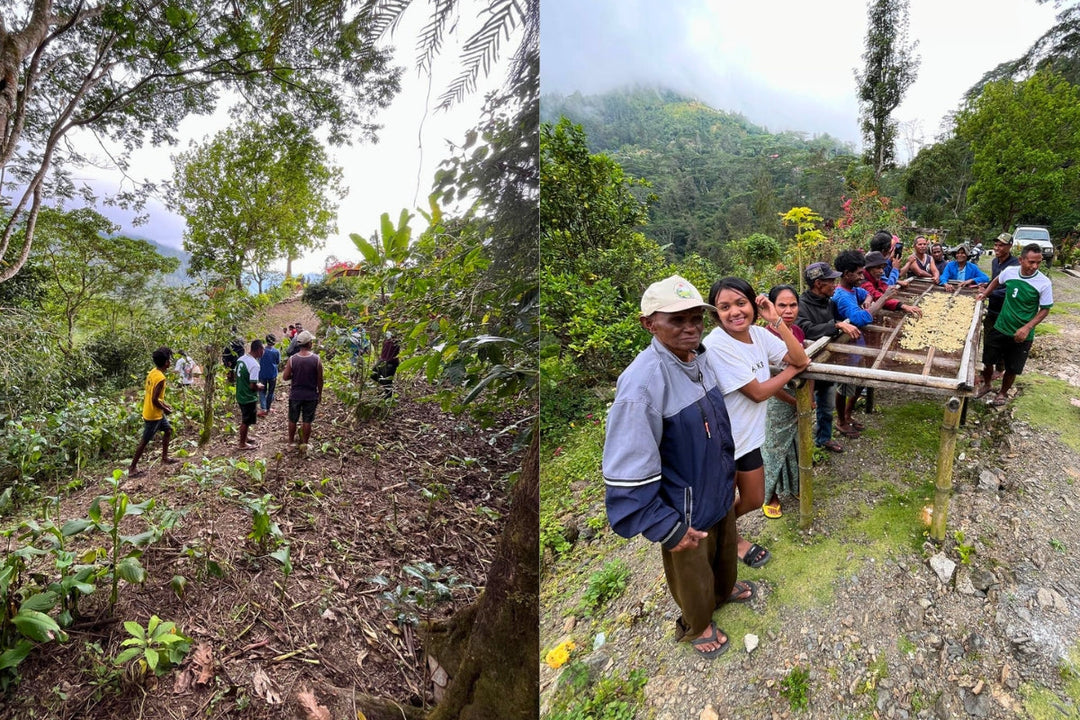From the Highlands of Timor-Leste: A Journey to Lauana