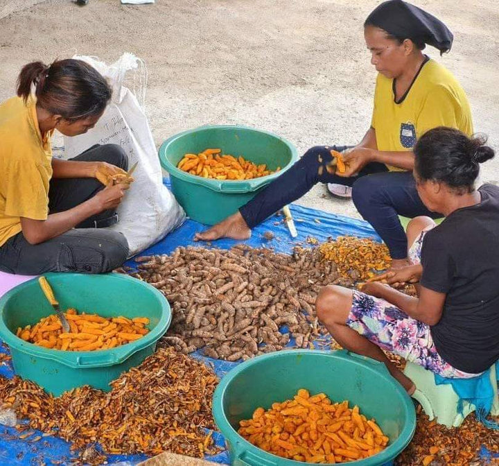 three timorese women sitting on tarp next to piles and buckets of turmeric roots which they are peeling