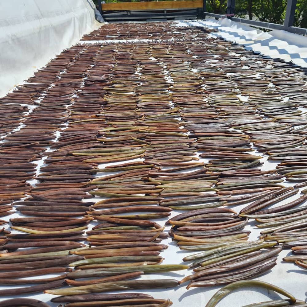 Cooks Companion The Corner Store Network